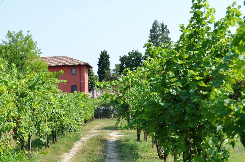 Agriturismo Isola Augusta Villa Palazzolo dello Stella Exterior photo